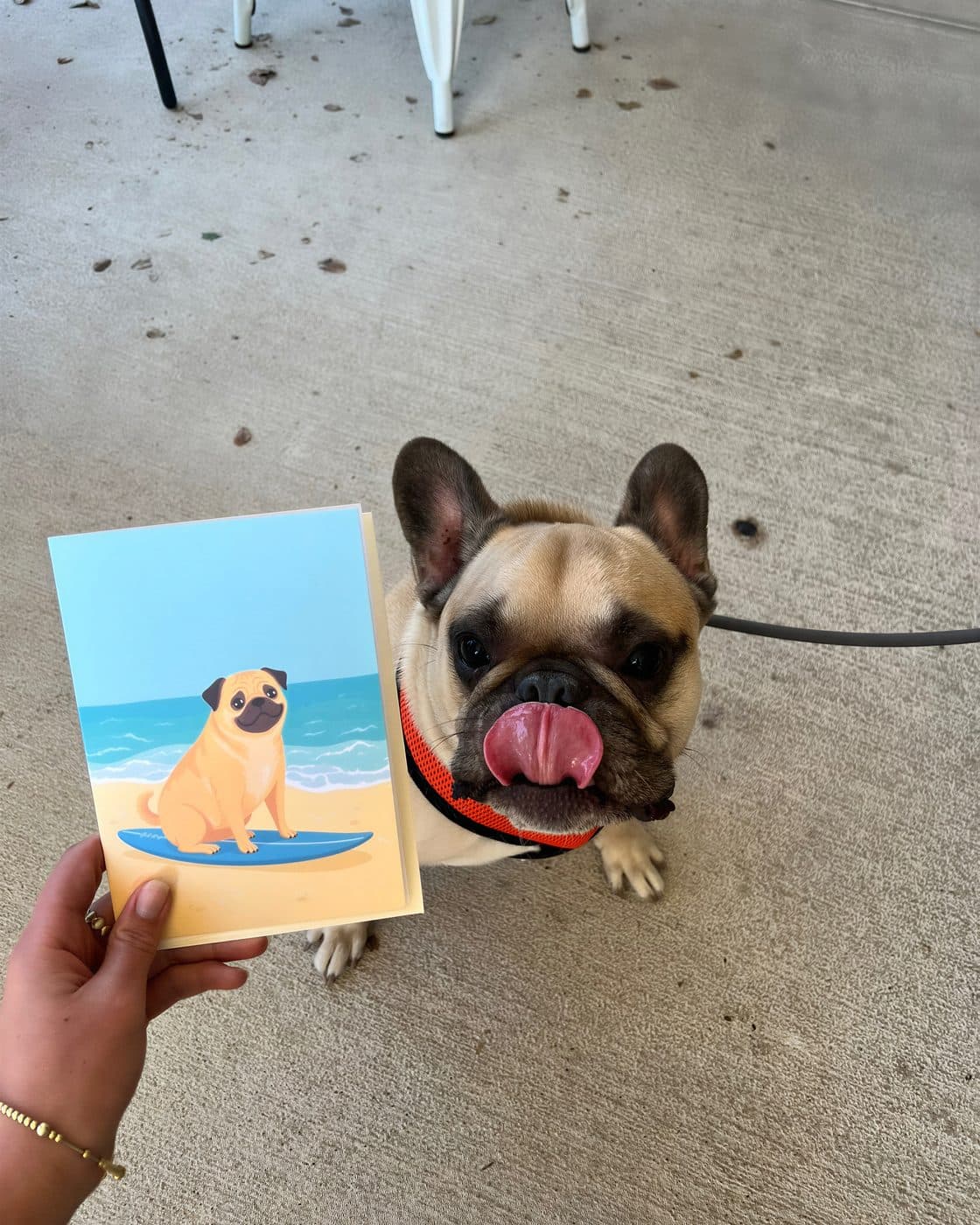 A card of a pug held next to a real French bulldog