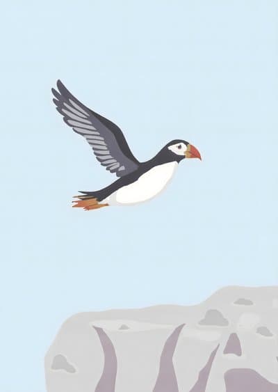 Puffin Greeting Card Modern Illustrated Design