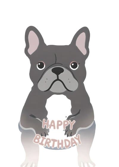 Funny Birthday Card French Bulldog Illustration