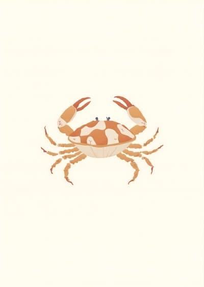 Crab Greeting Card Cute Ocean Art