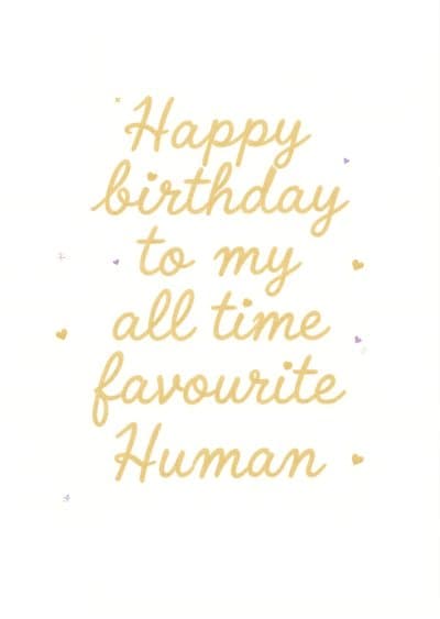 Funny Birthday Greeting Card Cute Heart Designs