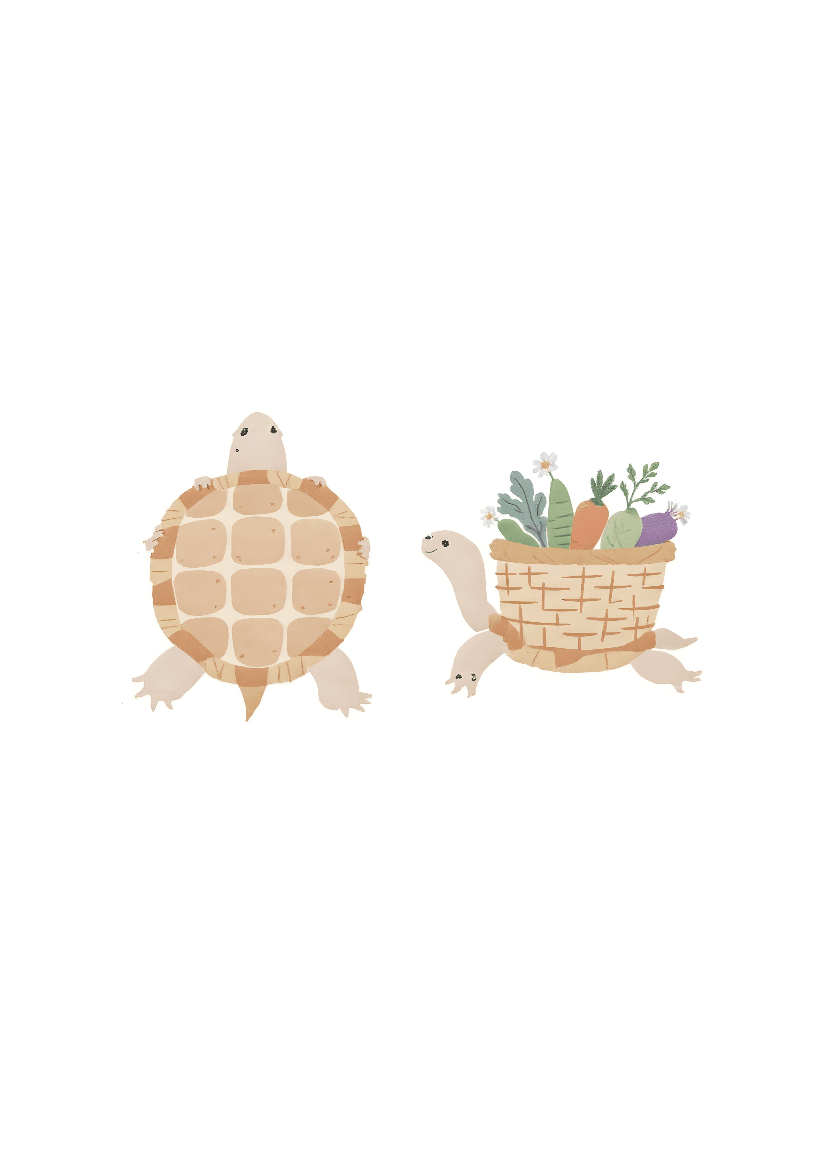 Funny Turtle Greeting Card Cute Illustrated Design